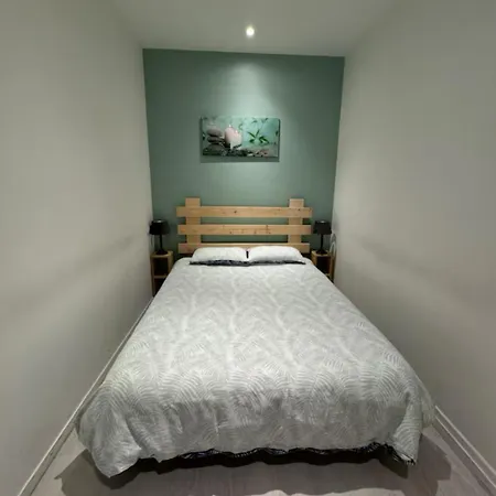 ● Le Bigourdan ● Sanctuaires - Calme - Wifi - Park Apartment Lourdes