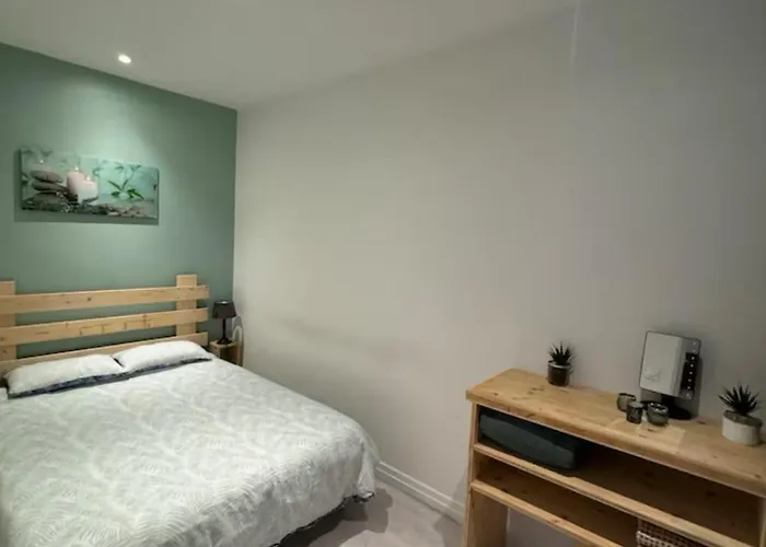 ● Le Bigourdan ● Sanctuaires - Calme - Wifi - Park Apartment Lourdes